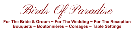 Birds Of Paradise For The Bride & Groom ~ For The Wedding ~ For The Reception Bouquets ~ Boutonnières ~ Corsages ~ Table Settings