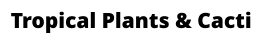 Tropical Plants & Cacti